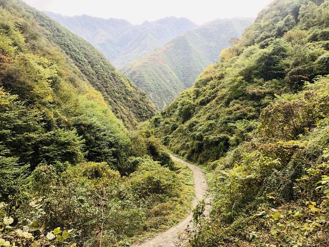 秦岭黑河峪望长沟｜房子只有在有人居住时，才是生机勃勃的家园
