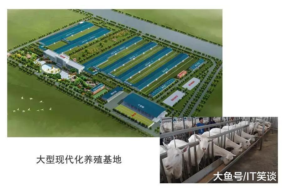 和氏刘安让：稳健不离“养殖”，钻研不过“产品”