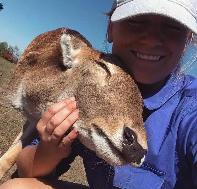 暖心狗狗不但让三条腿小鹿重新站立，还让它变得很有自信！