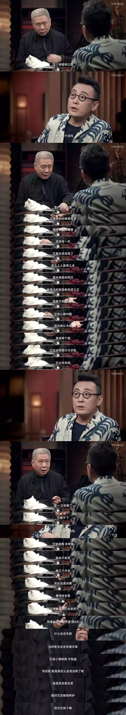 我家貓成精這件事，怕是瞞不住了