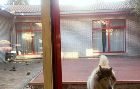 参观张若昀住的豪宅，一个人住北京四合院，唐艺昕嫁给他太幸福了