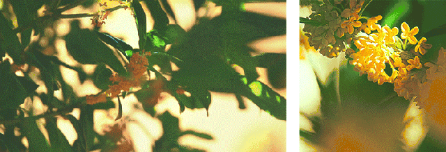 少年的你 在顺义的平房里长大~