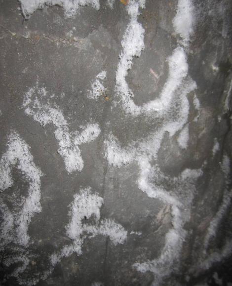 房子装修完工后反碱怎么办？老师傅教你如何解决，太实用了