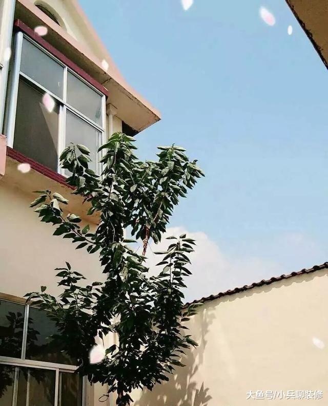 和老公住的农村自建房，有爱有绿植，还有大院子，比城里强太多了