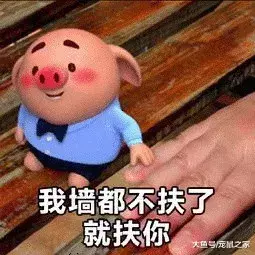 簡直逆天，生娃這種事，倉鼠媽媽一鼠就能搞定