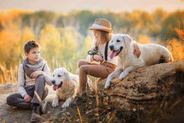 如果感到孤独，可能养个宠物会帮助到你