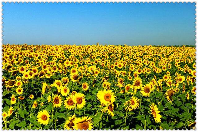 中年危机比高房价更可怕，转行去创业吗？改变永远都不晚