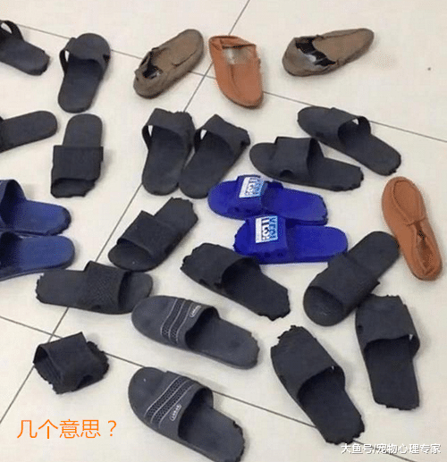男子晒出一堆拖鞋的照片，众人愣住，刷到下一张只能默默点赞