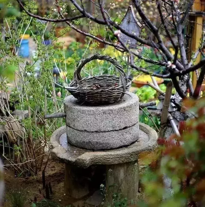 廚房搬進庭院 · 有酒有肉有故事