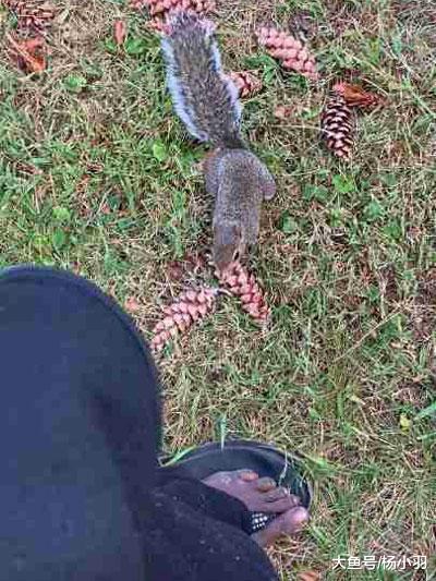 松鼠母子被救后一直跟着恩人，女子环顾四周“原来危险还没解除”