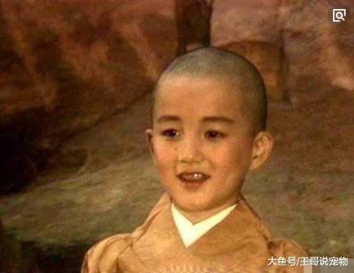 8岁参演了《西游记》，今身价过亿总裁，妻子因《甄嬛传》而走红
