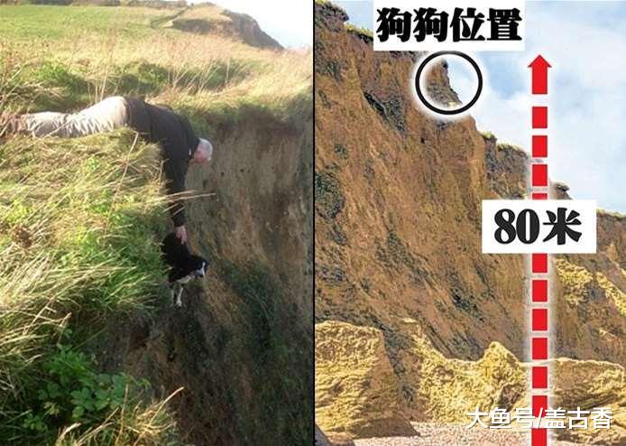 男子悬崖边救狗，主人想用钱表示感谢，男子说的一番话令人感动