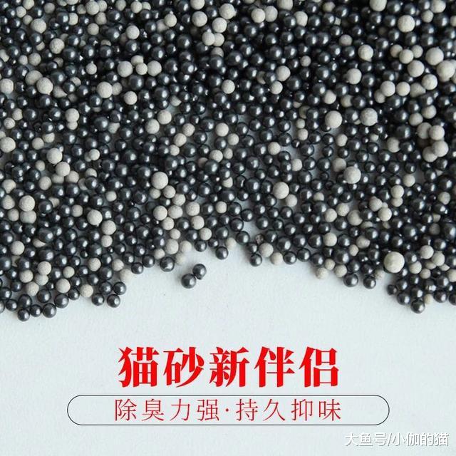 辟谣：猫砂伴侣不是真的好伴侣！猫砂除臭颗粒会导致猫呕吐和腹泻