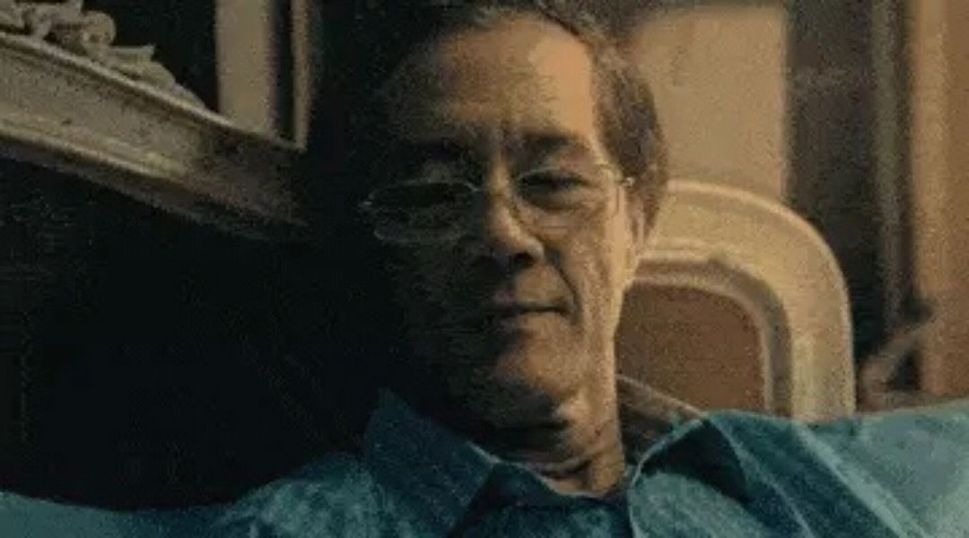 国外空巢收留流浪狗引发的深思