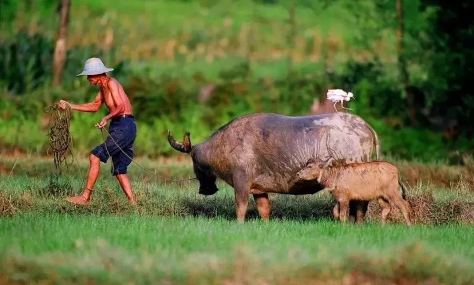 来防城港定居一个理由足够