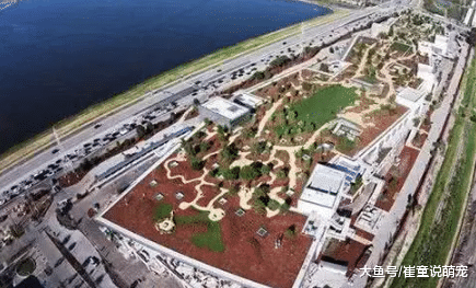 台湾富豪年薪千万，带头撤美1300亿！拒美国籍，逼迫美损失9000亿！