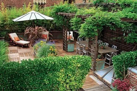 有钱人不买“带院子”的房子，这其中有说法，听听懂行的人怎么说