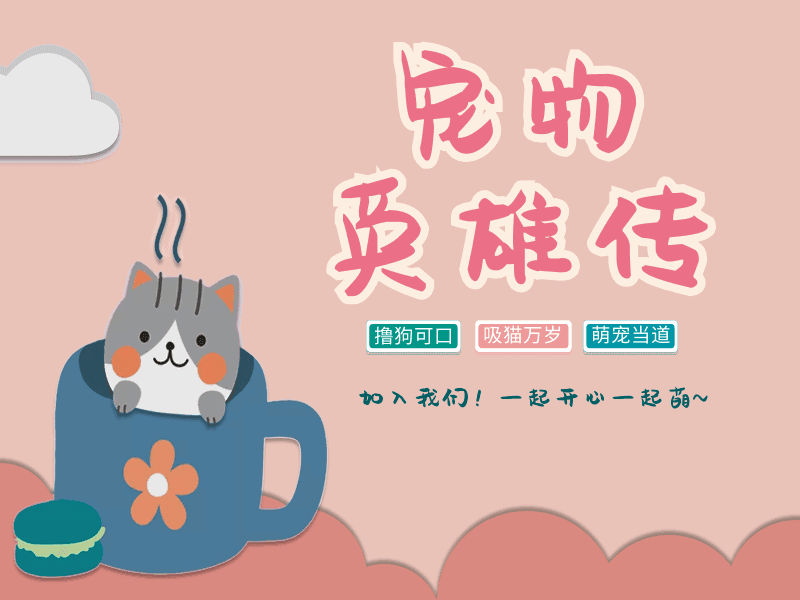 蓝猫兄妹因患病被抛弃，猫兄妹野外相依为命，抱着对方不愿分离