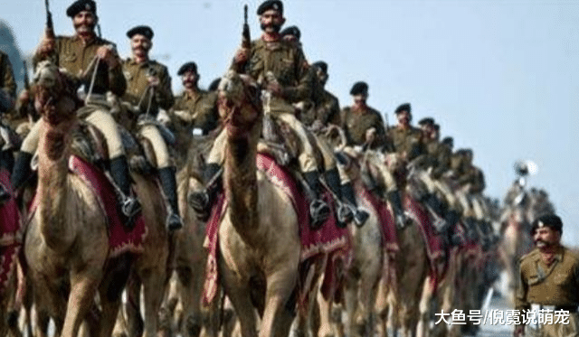 中印阅兵式哪个更好看？国际网友认为印度第一，这方面中国比不了