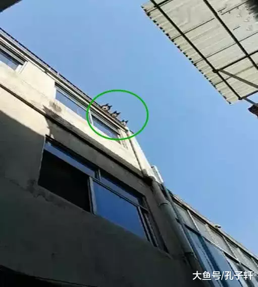 3只二哈狗头飘在天空路人纷纷好奇, 二哈们: 快逗楼下的傻子们玩