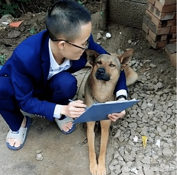 一个敢讲，一个敢听，为了克服上课紧张，老师决定先给狗子试讲