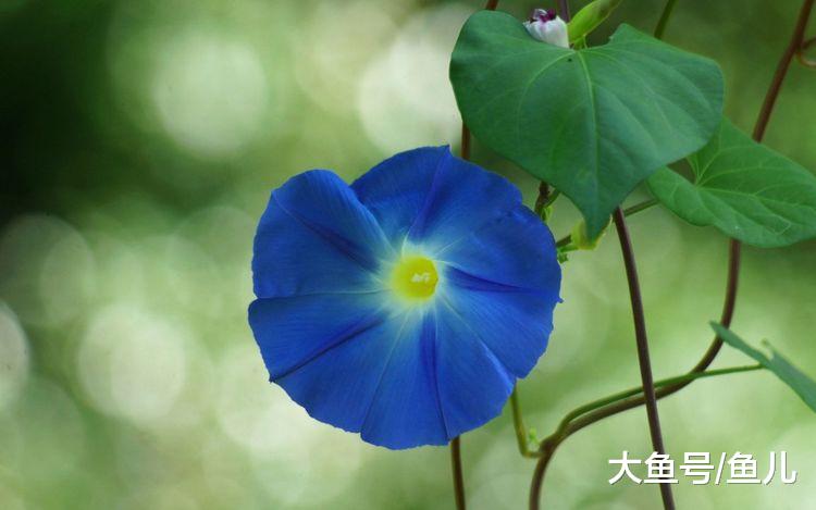 未来三个月手握大运，福气临门，步步高升，事业风生水起的3大生肖