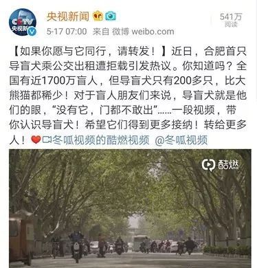 导盲犬太皮被开除，但是...它又幸运的找到了一份...好工作！