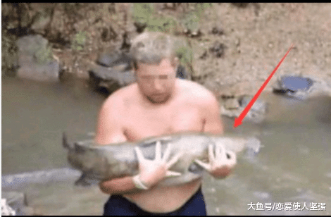 外国男子游泳被“未知生物”拖拽，以为是水鬼，结果岸边观察发现是一条鱼