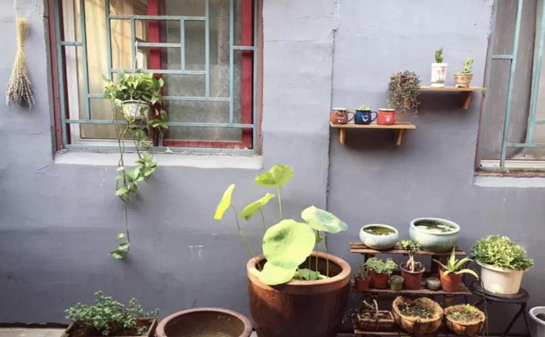 为女儿，她把旧平房爆改成“花园小屋”！退租时房东舍不得！