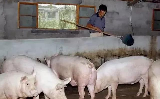 关于肉价与房价的桥段，猪肉涨价推高房价