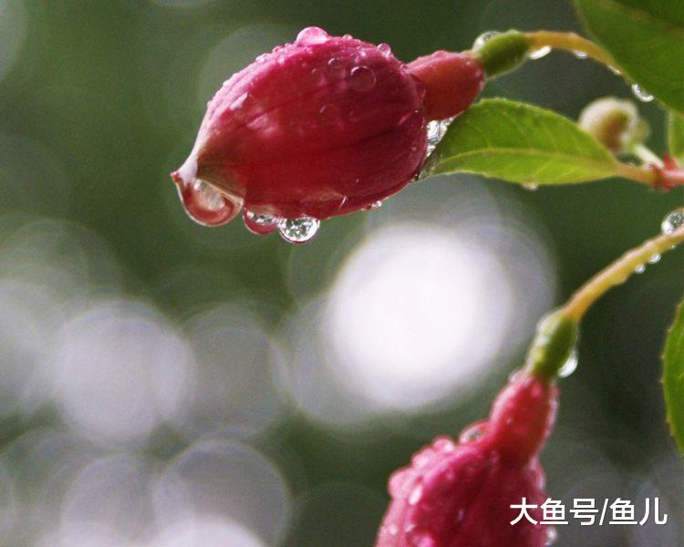 未来三个月手握大运，福气临门，步步高升，事业风生水起的3大生肖