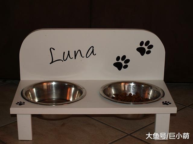 怎么选择狗碗？狗狗的碗选得不好，喝水都能喝出病