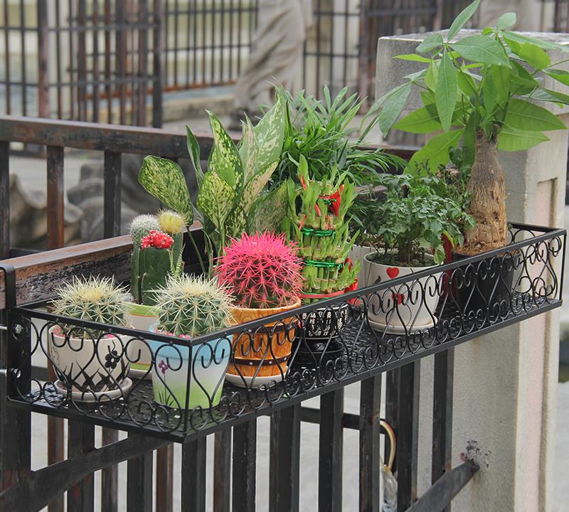 传统的花架已经落伍了，现在都流行的这样的花架，好看还便宜