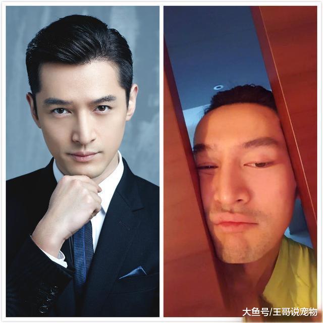 明星自拍堪比奇葩买家秀，网友：真的一眼看到老胡的照片要吓死！