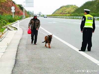 狗遛人怎么办？这5招，帮你轻松解决