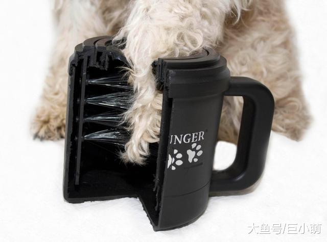 狗狗出门后脚变得肮脏怎么办？训犬师教你如何清理狗狗的小泥脚