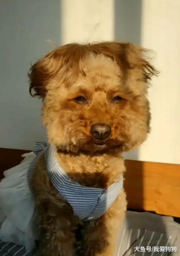 狗子失恋后就在放飞自己的路上越走越远，看着像男的实际是女的