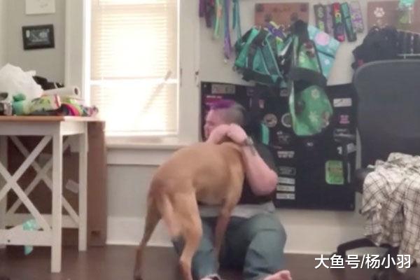 主人恐慌症发作伤害自己，狗狗一次次冲上去阻拦“别怕，我会一直陪着你”