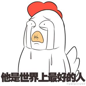 后院闯入眼镜蛇，狗狗为保护主人挺身而出，随后却倒地不起