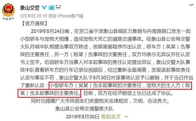 女子开车撞死萨摩耶，主人：我不就是没拴绳吗，责任是谁？