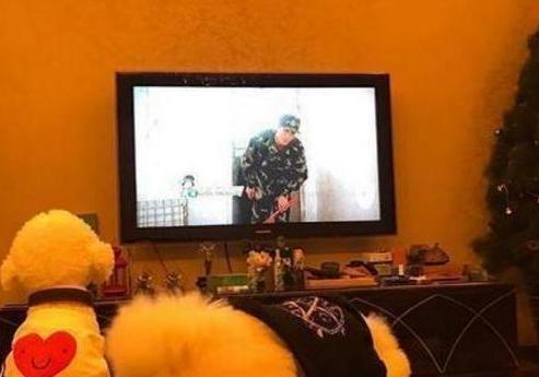 参观姜潮家的豪宅，玄关处全是限量版鞋子，房子装修跟宫殿一样