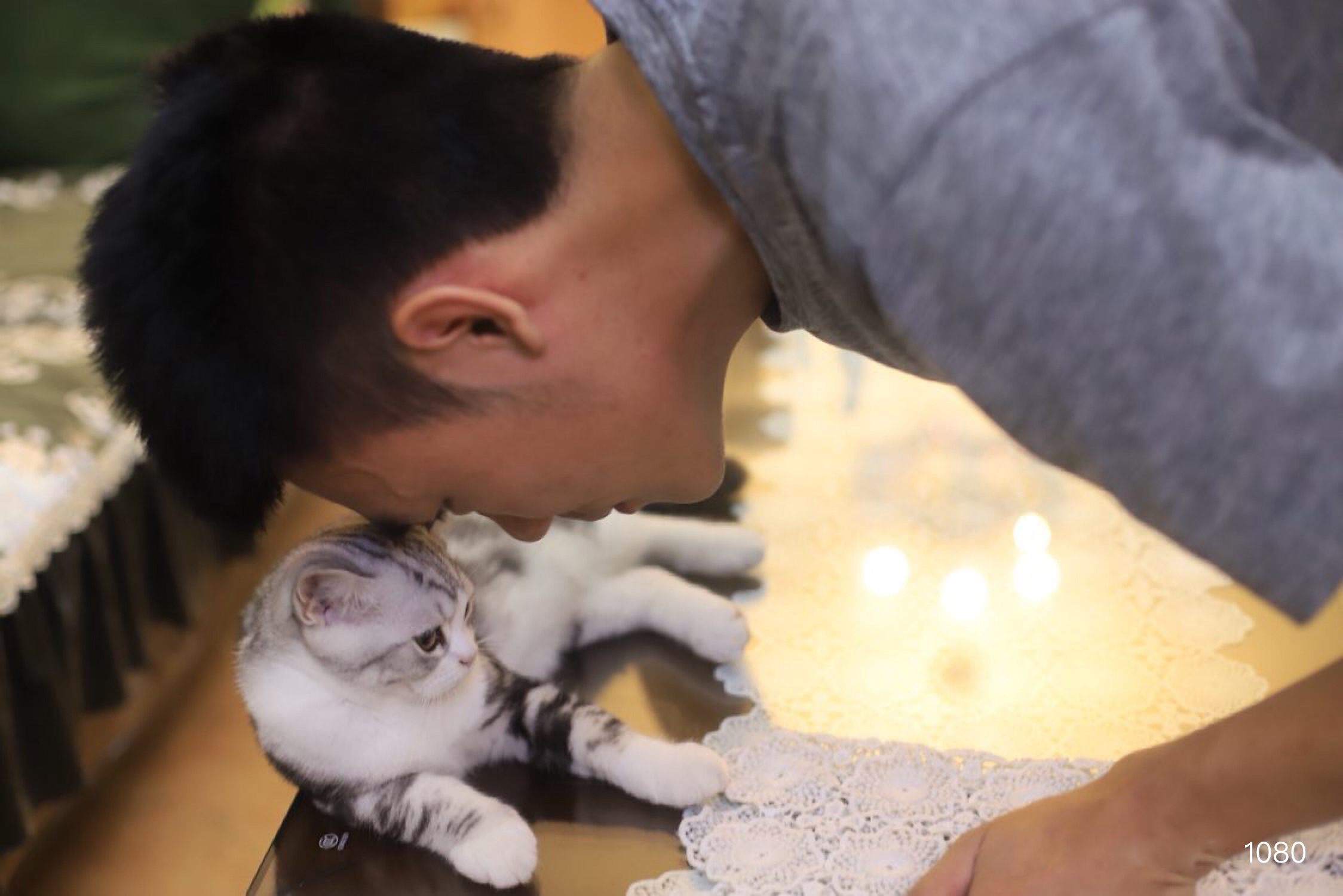 颜值逆天的软萌猫咪居然向猥琐大叔发展了！有图有证，笑喷了……