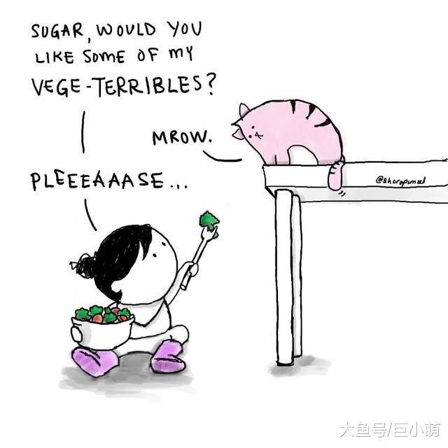 小孩猫咪夹心配，10张轻松搞笑的猫咪漫画，给你开心一刻