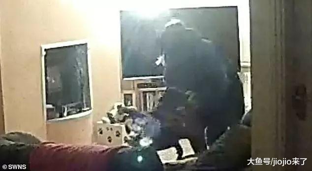 职业遛狗者在殴打客户的狗时被拍下……法官是这样判决, 网友大赞