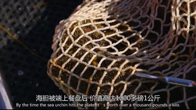 看完这些亿万富翁的饕餮盛宴，我只想喝一杯82年的可乐来定惊.....