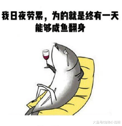 内部人员极力吐槽王源“简直作死了”多次要求磨皮，经纪人还经常爆粗口！