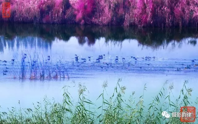 10条老摄影家创作经验，逐步提高审美意境