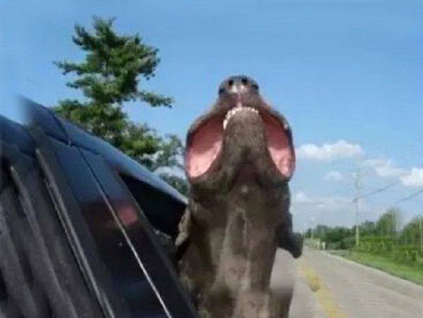 每日一笑：老公问老婆：老盯着手机看什么？抢红包。一晚上能抢多少？