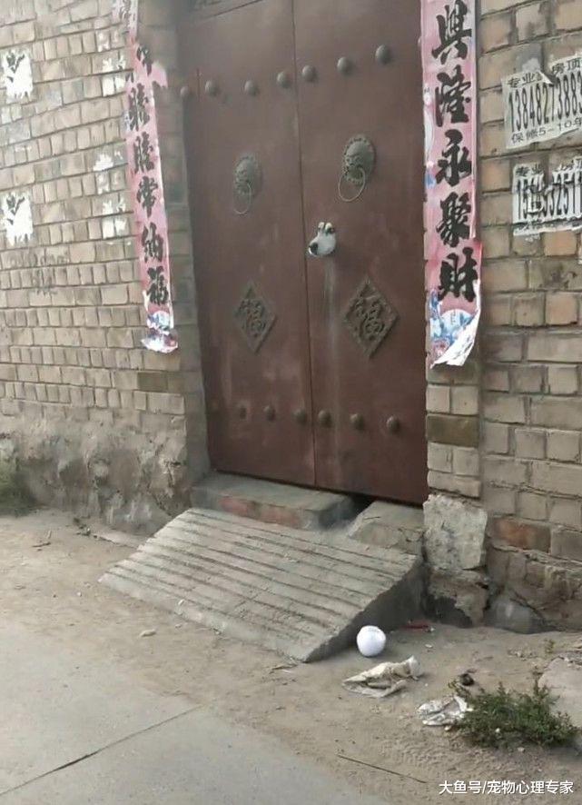 小伙去乡下二叔家，刚准备敲门却退了回来，仔细一瞧挪不动步了