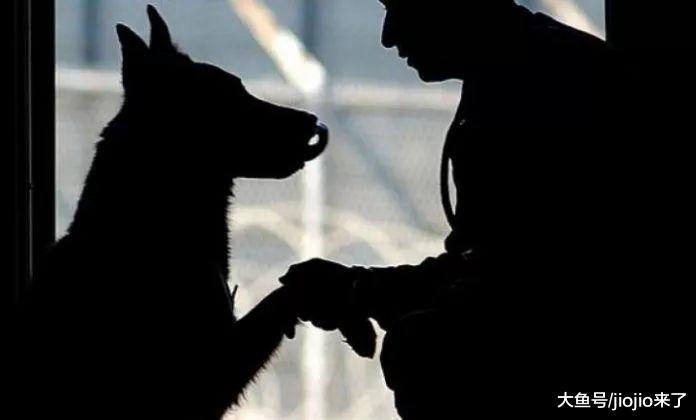 变态至极！3名印度男子用鸡蛋诱拐4岁母狗，随后将其性侵……